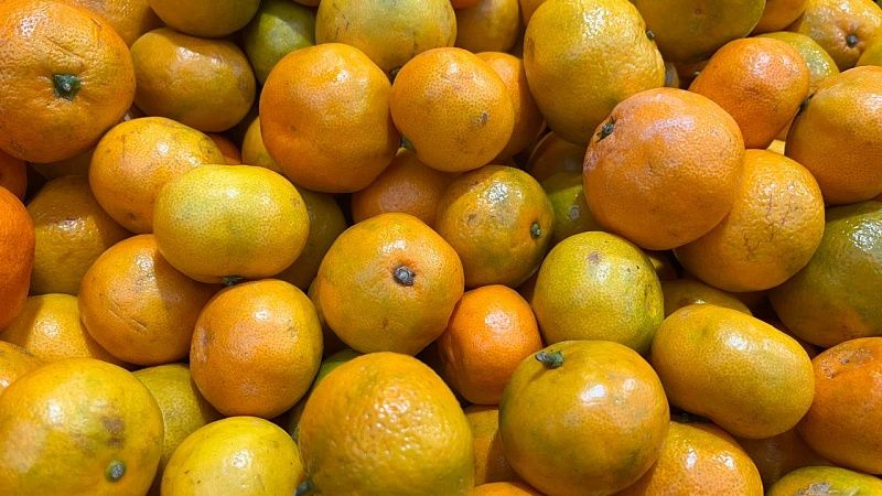 Врач Горячев рассказал, как много мандаринов можно есть в сутки 