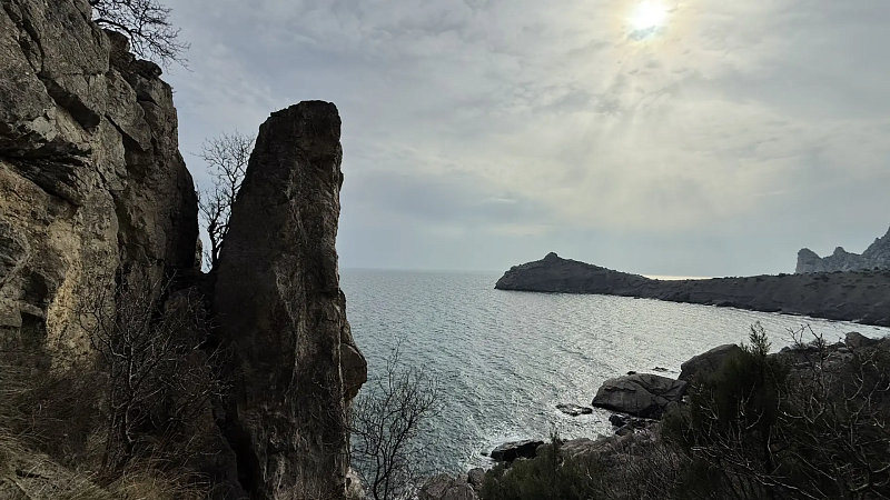 Заслуженный летчик России Сытник назвал возможную причину крушения Ан-26 в Крыму