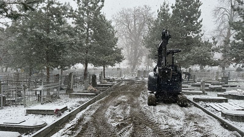 На Всесвятском кладбище в Краснодаре расчистили 17 га земли