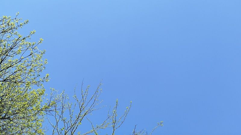 О массовом налёте БПЛА сообщили жители Крыма 