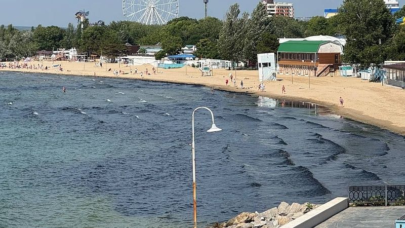 О причинах почернения морских водорослей в Анапе рассказали в оперштабе Кубани