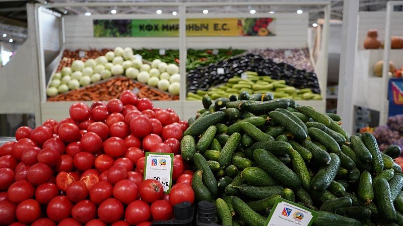 Валовый сбор овощей вырос на 20% в 2025 году на Кубани