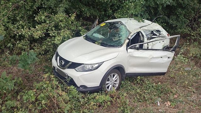 Водитель не справился с управлением, врезался в дерево и погиб на Кубани