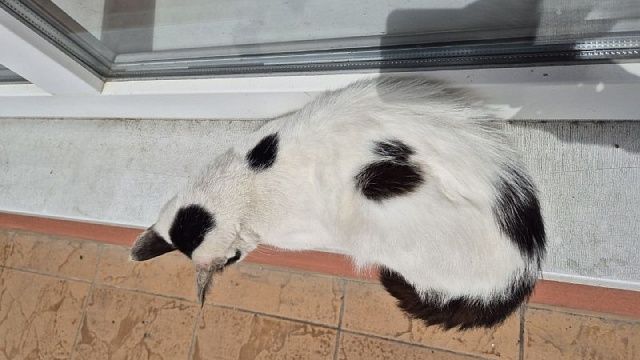 Фото: телеканал «Краснодар»