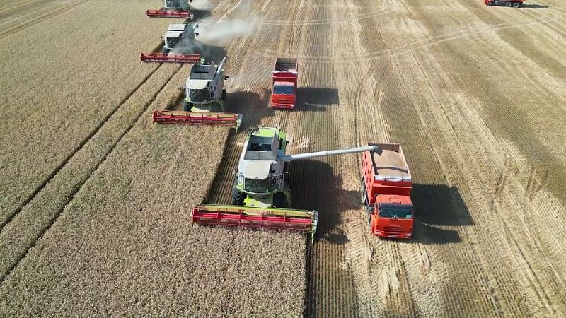 Агрокомпания экс-главы Кубани Ткачева свернула хоздеятельность в Донецке