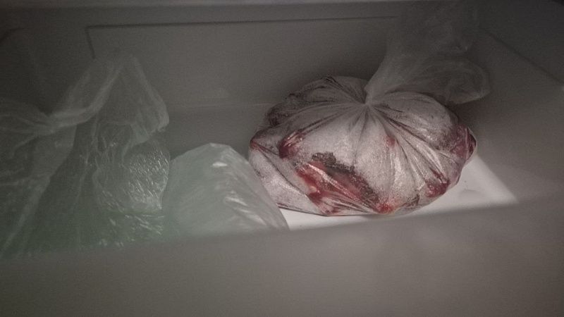 Брат с сестрой спрятались в холодильнике и погибли в Колумбии