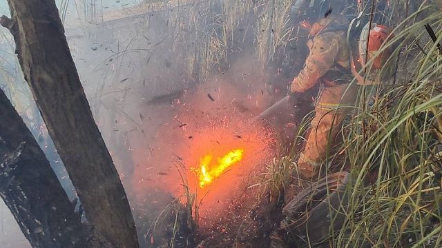 Фото: t.me/spasenie_sochi