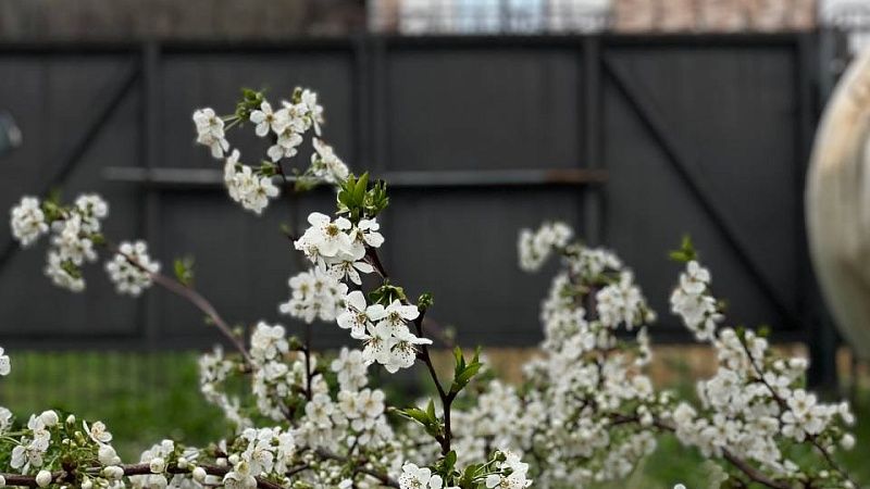 Средняя цена загородного дома упала на 11% в пределах Краснодара