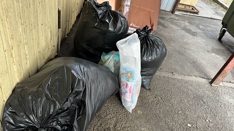В Краснодаре за год ликвидировали 329 свалок