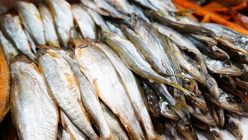 Регулировать численность большого баклана на Байкале предложили в Бурятии