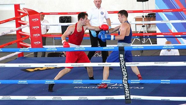 В Краснодаре стартовал 4-дневный чемпионат ЮФО по боксу