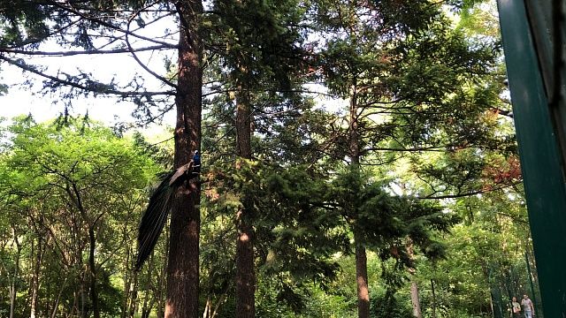 Фото: телеканал «Краснодар»