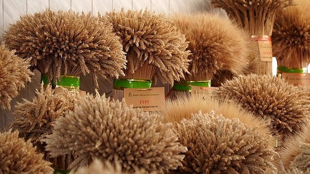 Производство сельхозтехники резко выросло в 2025 году на Кубани