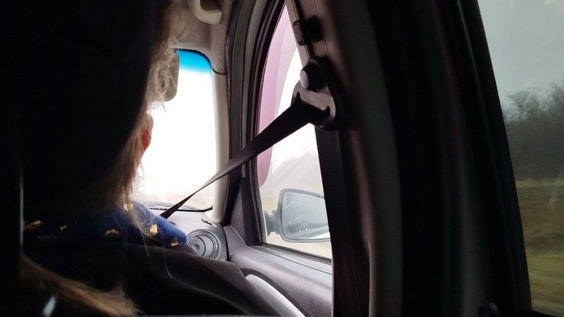 Женщина ненароком высунула голову в окно машины и трагически погибла во Франции