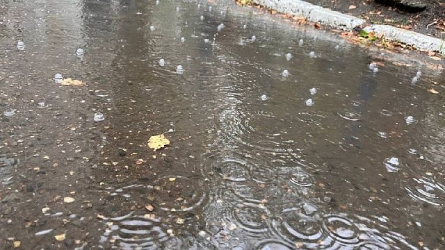 Фото: телеканал «Краснодар»