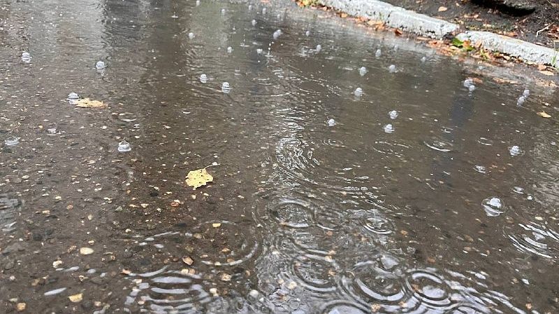 Контроль за водными объектами будет усилен в Сочи