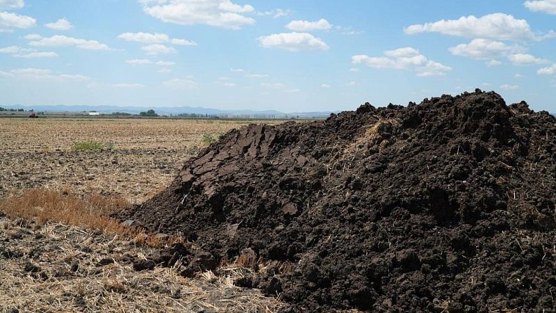 Власти объяснили причины неприятного запаха в Крымском районе 