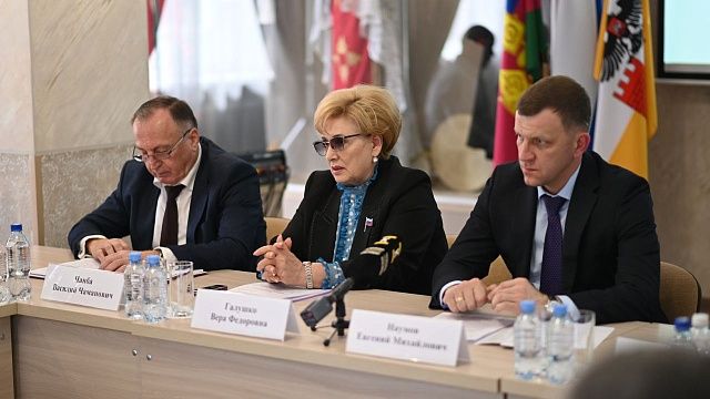 Руководители Краснодара встретились с представителями национальных общин. Фото: Андрей Зубов