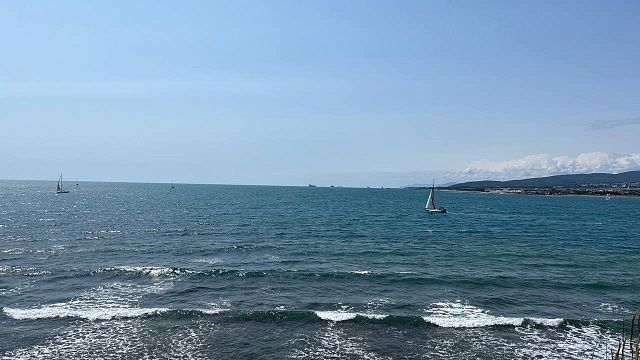 Фото: «Телеканал Краснодар»