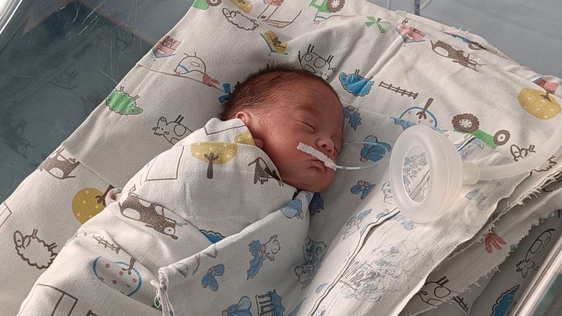 На 147 новорожденных стал больше Краснодарский край