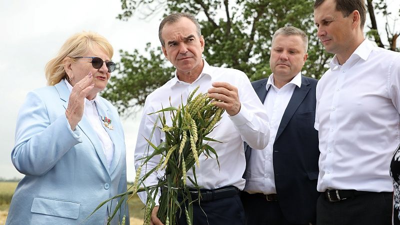 Кондратьев осмотрел состояние посевов озимой пшеницы в Гулькевичском районе