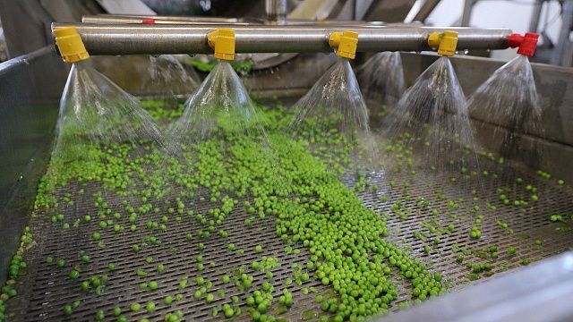 Краснодарская компания изготовит 15 млн банок консервированного горошка. Фото: Станислав Телеховец