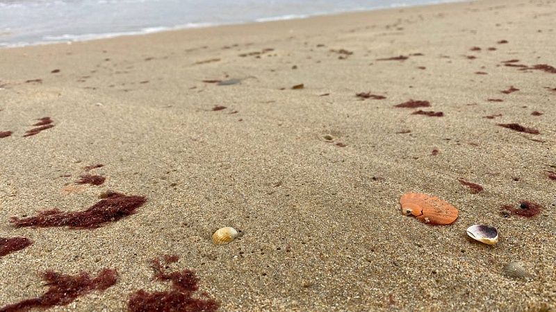 Локальные выбросы мазута устраняют в Темрюкском районе