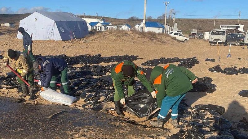 Минприроды Кубани: свыше 45 га парка «Анапская пересыпь» покрыты мазутом