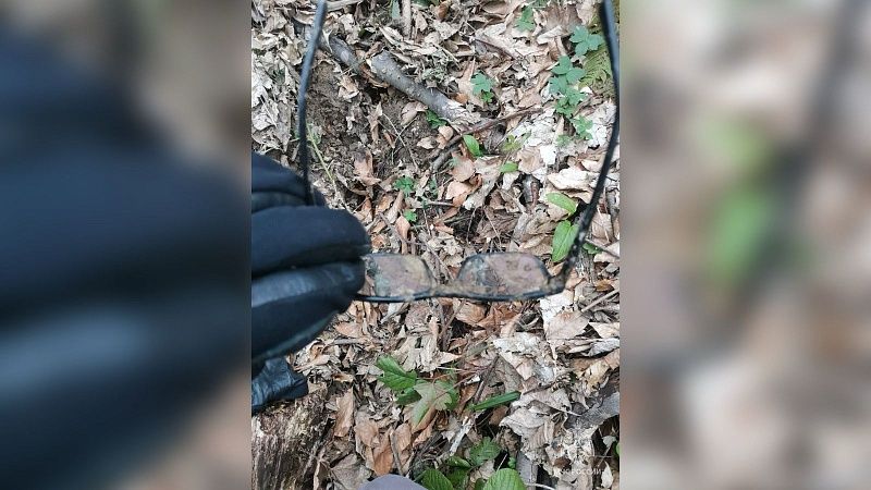 Стали известны подробности гибели пропавшего пенсионера в Сочи