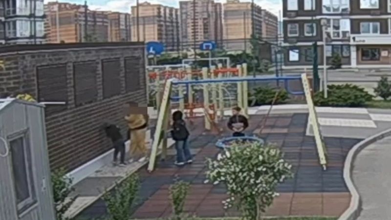 Женщина ударила чужого ребёнка на детской площадке в Новороссийске