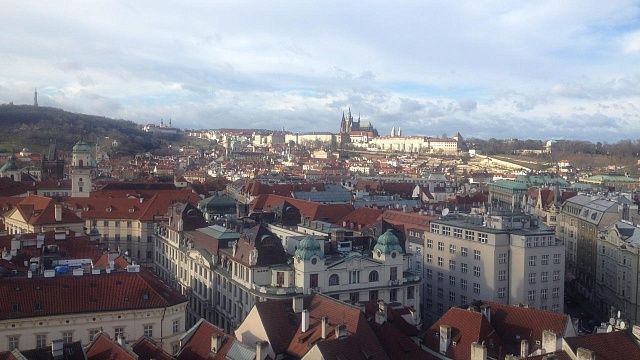 Украинский флаг на музее заменили баннером с обезьяной в Праге