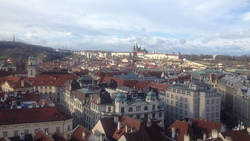 Украинский флаг на музее заменили баннером с обезьяной в Праге