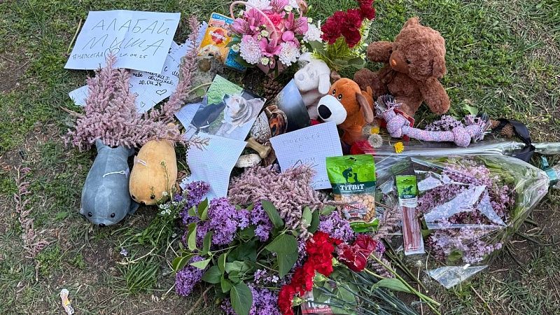 Мемориал в память о погибших бездомных собаках появился в ЮМР Краснодара