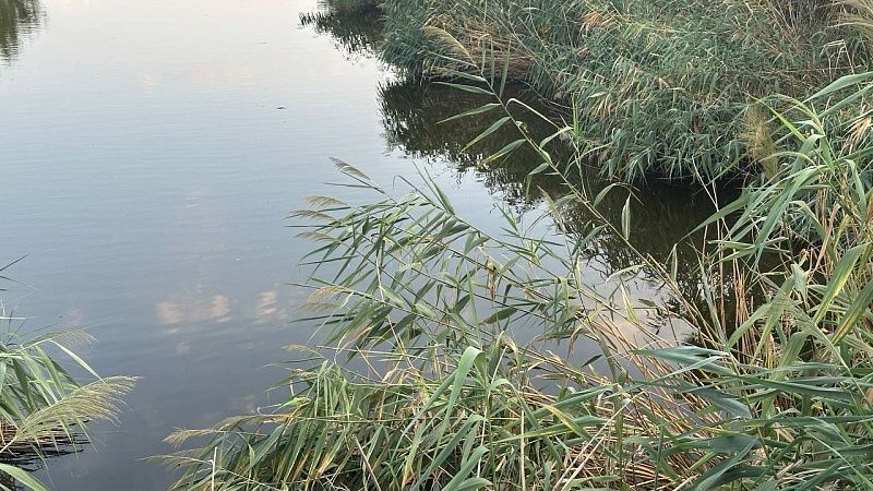 Получивший ожоги 70% тела после удара током на рыбалке мужчина умер в Миассе