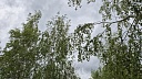 Обломки БПЛА обнаружили по девяти адресам в Тихорецке