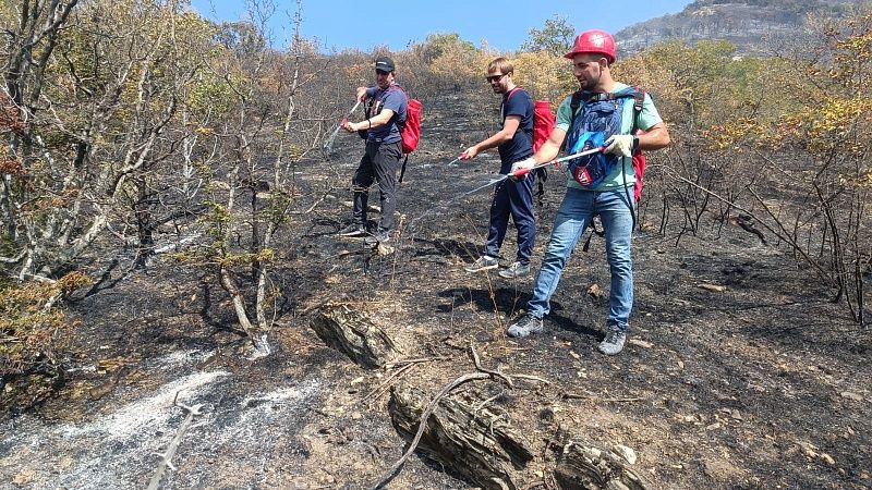 Минприроды Кубани поблагодарило добровольцев за помощь в тушении пожара в Геленджике