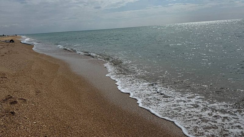 Ученые отметили восстановление моря после ЧП с танкерами в Керченском проливе