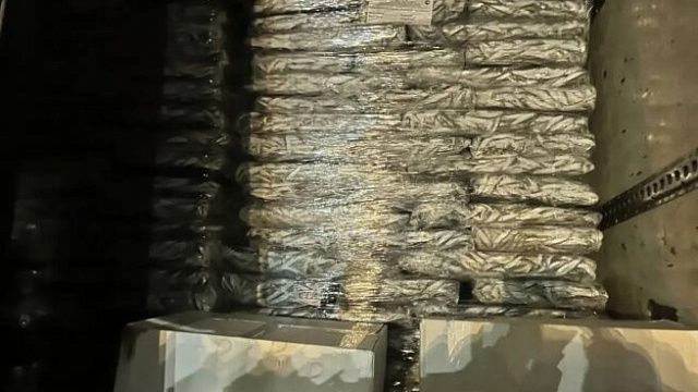 Около 5 тонн рыбы без документов задержали на посту ДПС в Успенском районе