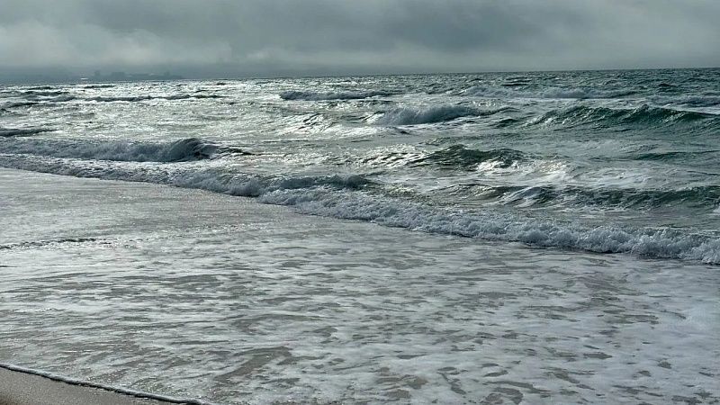 Очевидцы сняли огромного сельдяного короля на берегу моря во Вьетнаме