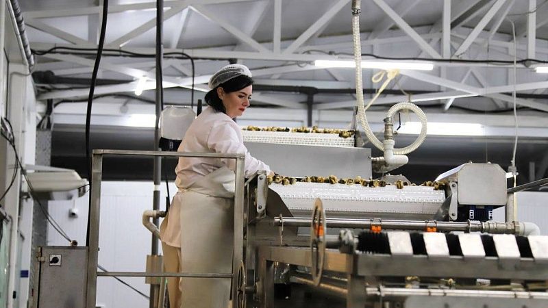 Фонд развития промышленности выделит 600 млн рублей пяти компаниям Кубани