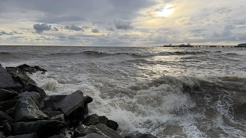 Тушу загадочного животного нашли после бури на берегу в Великобритании 