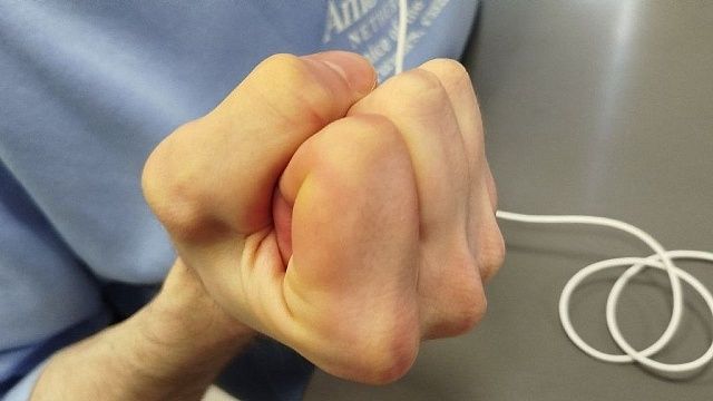 Девочка организовала банду школьников в Большом Луге