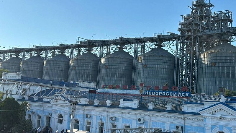 Кубань вдвое увеличила экспорт семян льна в первом полугодии 2025 года