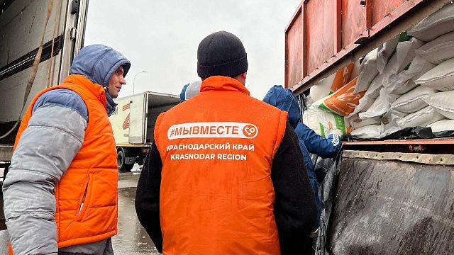 Быть добровольцем: как люди становятся волонтерами и кому сегодня необходима помощь Фото: Телеканал «Краснодар»