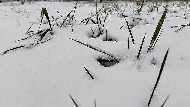 Рабочие уложили плитку на снег перед зданием райадминистрации в Челябинске