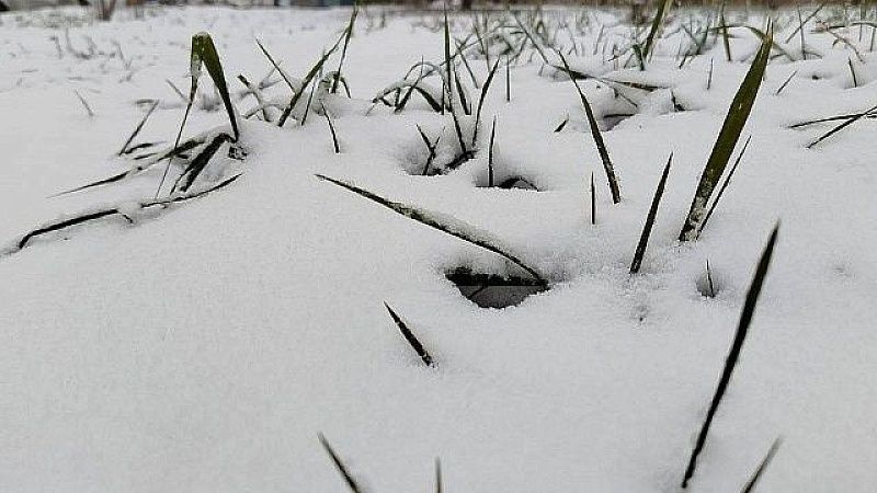 Рабочие уложили плитку на снег перед зданием райадминистрации в Челябинске
