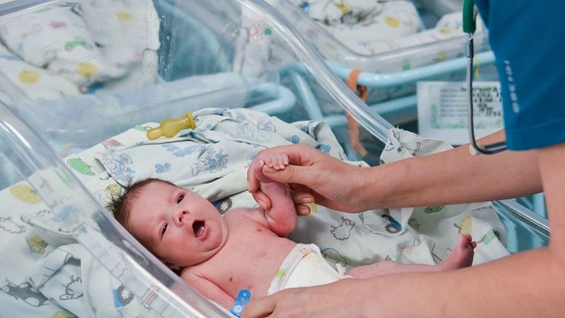 Три двойни за сутки появились в Краснодарском крае