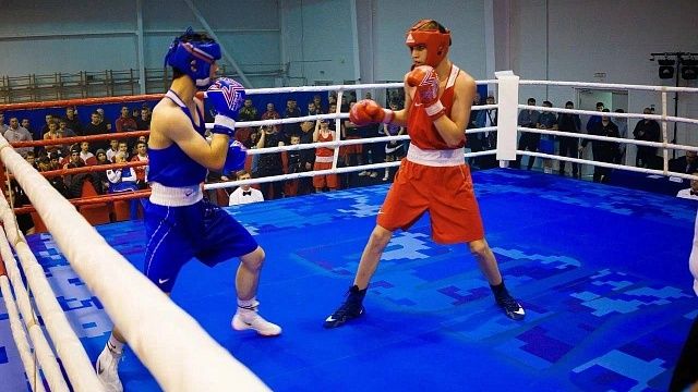 В Анапе проходят Всероссийские соревнования по боксу. Фото: https://t.me/vlasovkuban