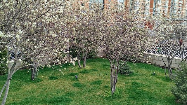 Фото: телеканал «Краснодар»