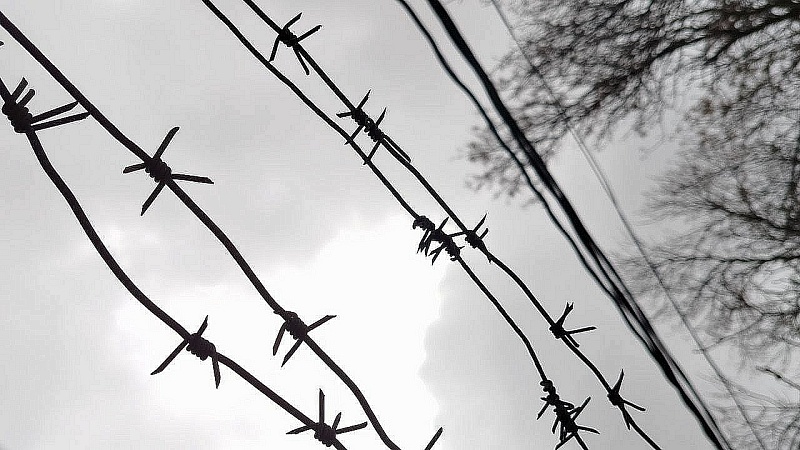 Подруга пыталась уберечь погибшую Амину в Абхазии